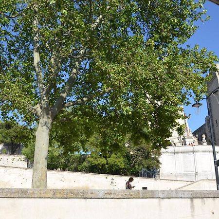 Face Au Palais Des Papes Apartman Avignon Kültér fotó