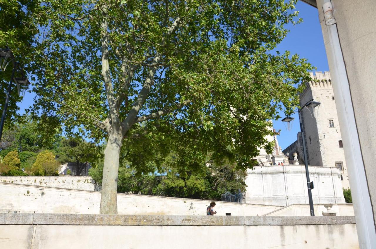 Face Au Palais Des Papes Apartman Avignon Kültér fotó